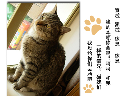 组图:传说中的三脚猫功夫(10)