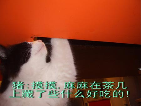 ͼƬһҳ
