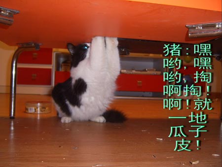ͼƬһҳ