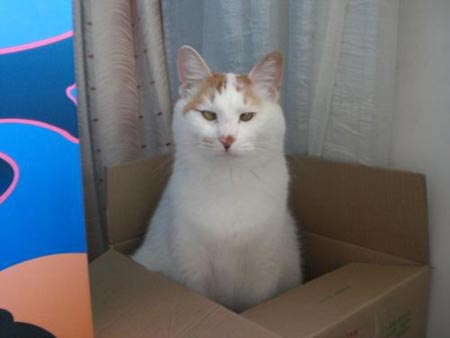 ͼƬһҳ