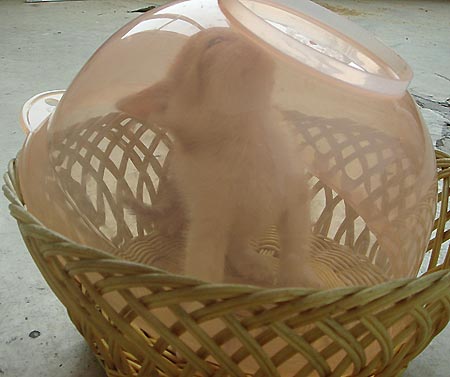 ͼƬһҳ