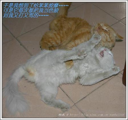 ͼƬһҳ