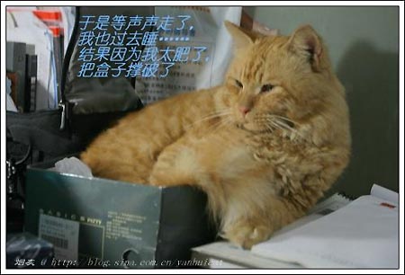 ͼƬһҳ