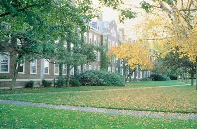 漫步在哈佛校园(图)