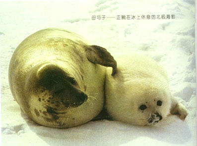 http://image2.sina.com.cn/bj/upload/38/1095/20050830/1099/219968/219987.jpg
