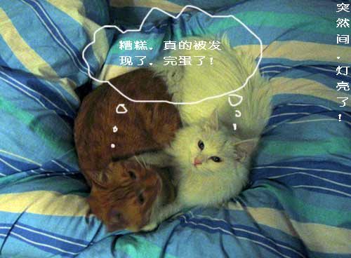 图片点击可在新窗口打开查看