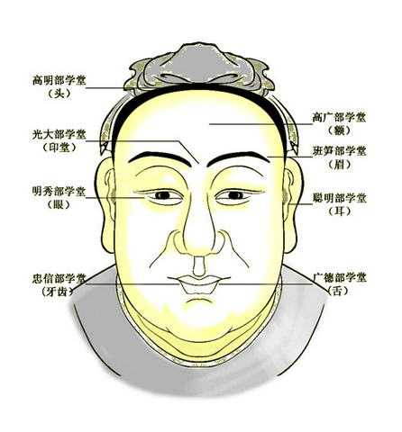 眉与长寿注释:玉枕骨有两块,分布在枕骨的两边,加上枕骨,这三块骨头像