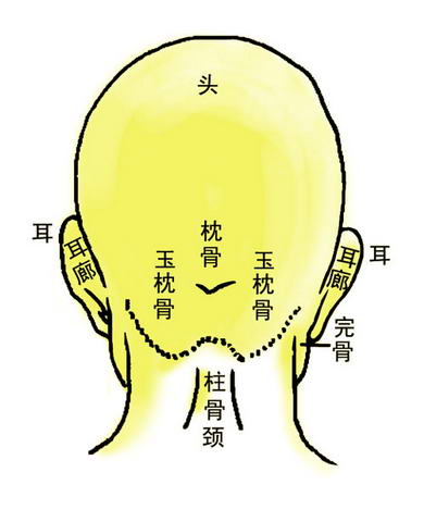 十二官不相失者寿