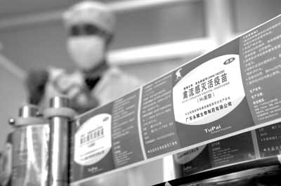 广州全力生产禽流感疫苗 济南广场鸽打疫苗 _
