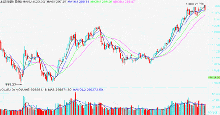 景顺长城景系列动力平衡基金2006年2月投资月