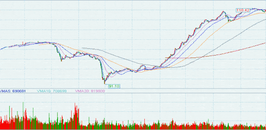 景顺长城景系列动力平衡基金2006年6月投资月