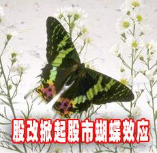 ҵĹɸ֤ȯгĺЧӦ