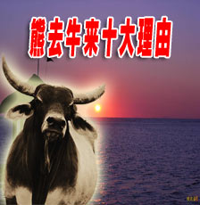 ȥţʮ