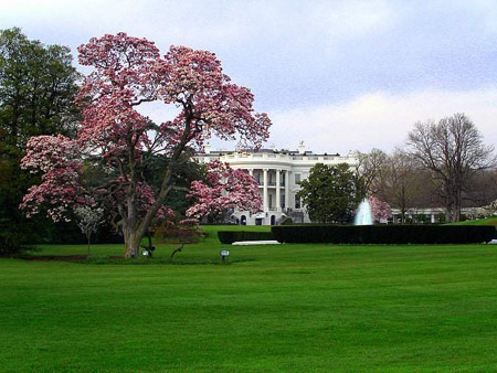王利芬16日专栏之白宫:美国政治活动的舞台_经