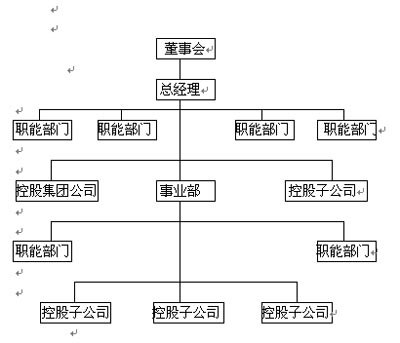 母子公司管理体系的主要内容_经营管理