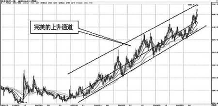 炒金菜鸟别追涨