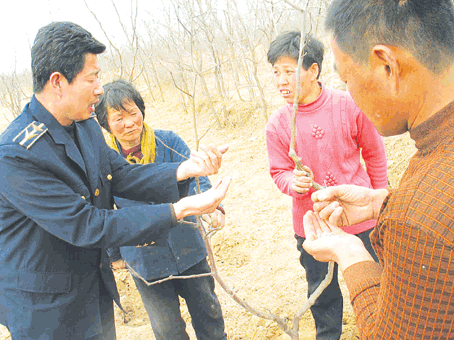沾化县总人口多少人_九十年代沾化县照片(3)