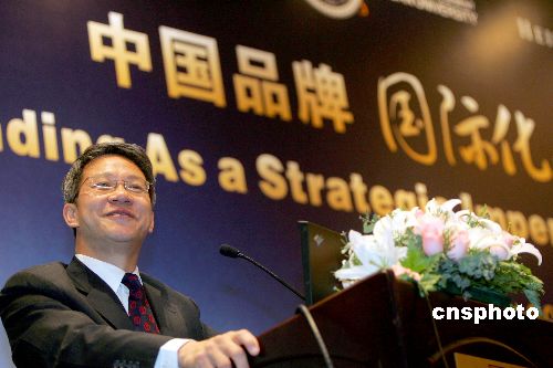 入世五年:中国本土品牌如何面对扁平的世界_