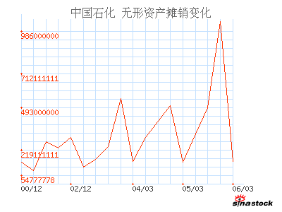 中国石化(600028)_无形资产摊销_现金流量表