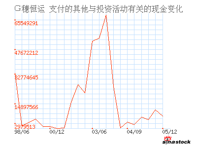 穗恒运A(000531)_支付的其他与投资活动有关