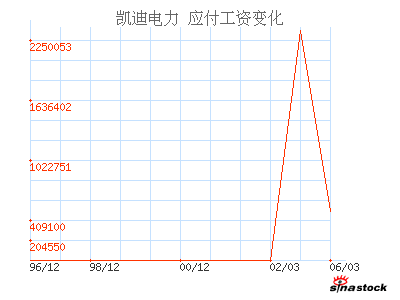 凯迪电力(000939)_应付工资_资产负债表_公司