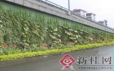 南宁10座城市立交桥将垂直绿化()