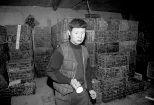 河北安新县的国华禽蛋加工厂的鸭蛋被质监部门封存在库房.