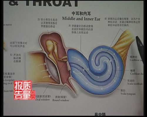 每周质量报告：抗生素滥用之祸