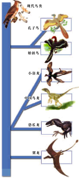 古生物学家:恐龙或因沙尘暴灭绝