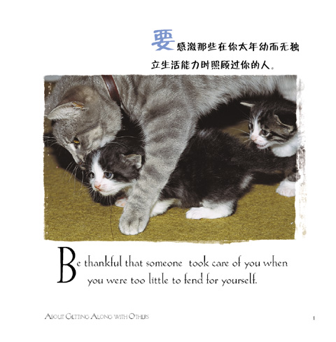 http://image2.sina.com.cn/cul/s/2003-10-23/3_60-4-49-553_20031023231849.jpg