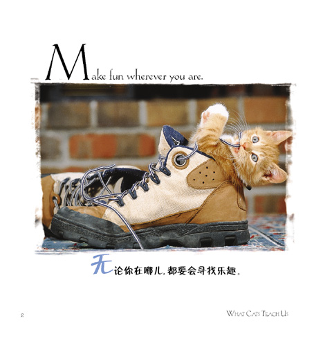 http://image2.sina.com.cn/cul/s/2003-10-23/3_60-4-49-553_20031023232551.jpg