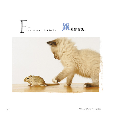 http://image2.sina.com.cn/cul/s/2003-10-23/3_60-4-49-553_2003102323443.jpg