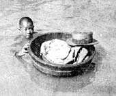 视觉:1931年长江大洪灾中的武汉