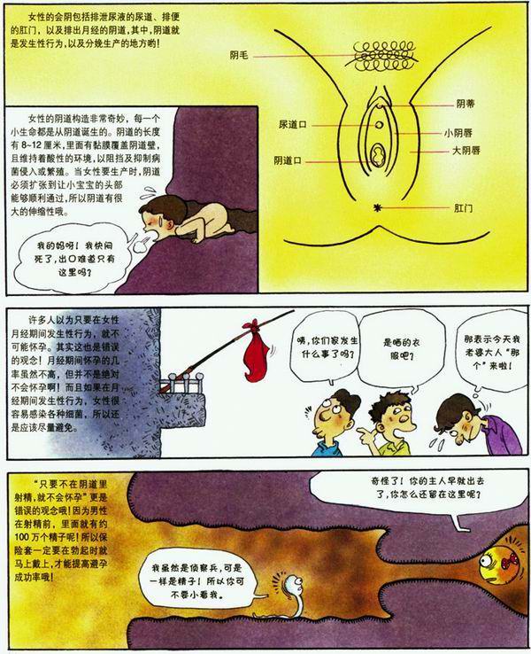 漫画性知识