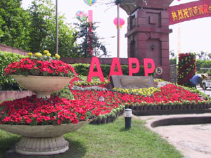 图文:迎AAPP会议召开 几十万鲜花装扮重庆