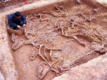 图文:河南林州考古获重大发现