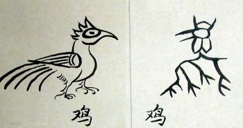 这是记者11月23日拍摄的纳西族东巴象形文字"鸡(左)与甲骨文"鸡(右