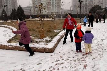 图文:北京下雪了