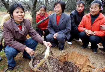 图文:江西农村妇女赶科技文化大集