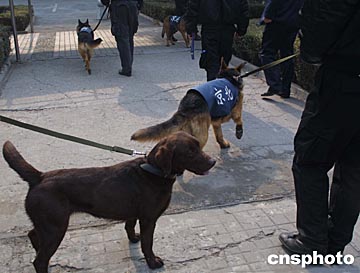 图文:北京警方出动特种警犬担任"两会"卫士