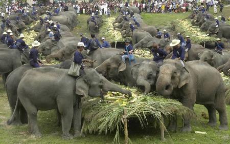 图文:泰国庆祝大象日