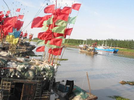 在江苏省大丰市斗龙港,数千只渔船汇集一起,船上撑起的鲜艳夺目的彩旗
