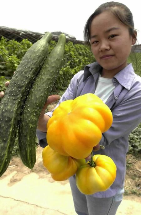 在太空中遨游一圈又返回地面的太空蔬菜种子在; "太空种子"结硕果