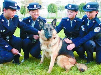 中国首批本科学历带犬女警将在沈阳诞生(图