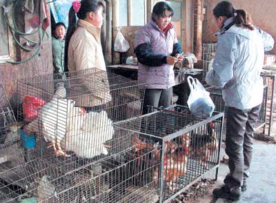 与猪肉、鲜鱼一起卖 农贸市场还有人私宰活鸡