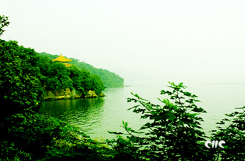 图文:翠绿色的无锡太湖