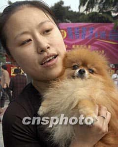 图文:截止2003年北京40余万只犬办理年检手续