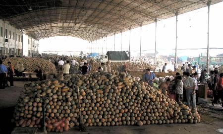 图文:泸州建成大型农产品批发市场(1)