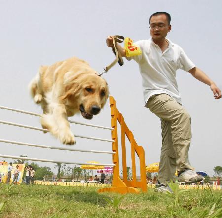 图文:争做文明养犬人(1)
