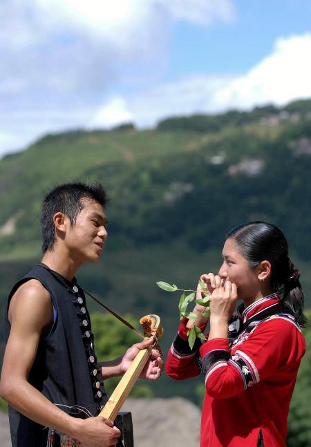 哈尼族有多少人口_大理州人口数据统计!来看看有多少人口,男女比例如何(2)